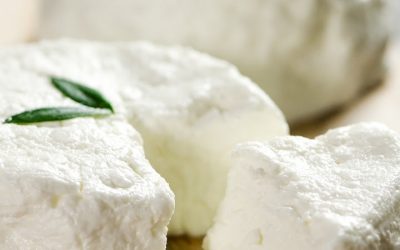 Hand-ladled City Goat Cheese Rounds from the Creamery