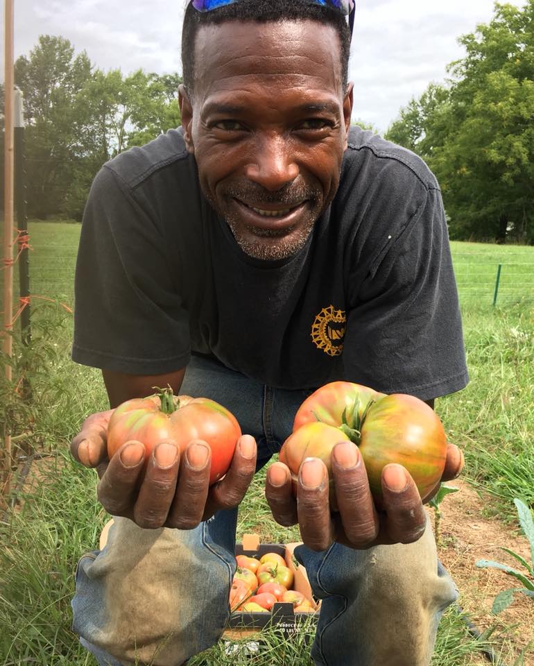 Tomato Heirloom Event Photo